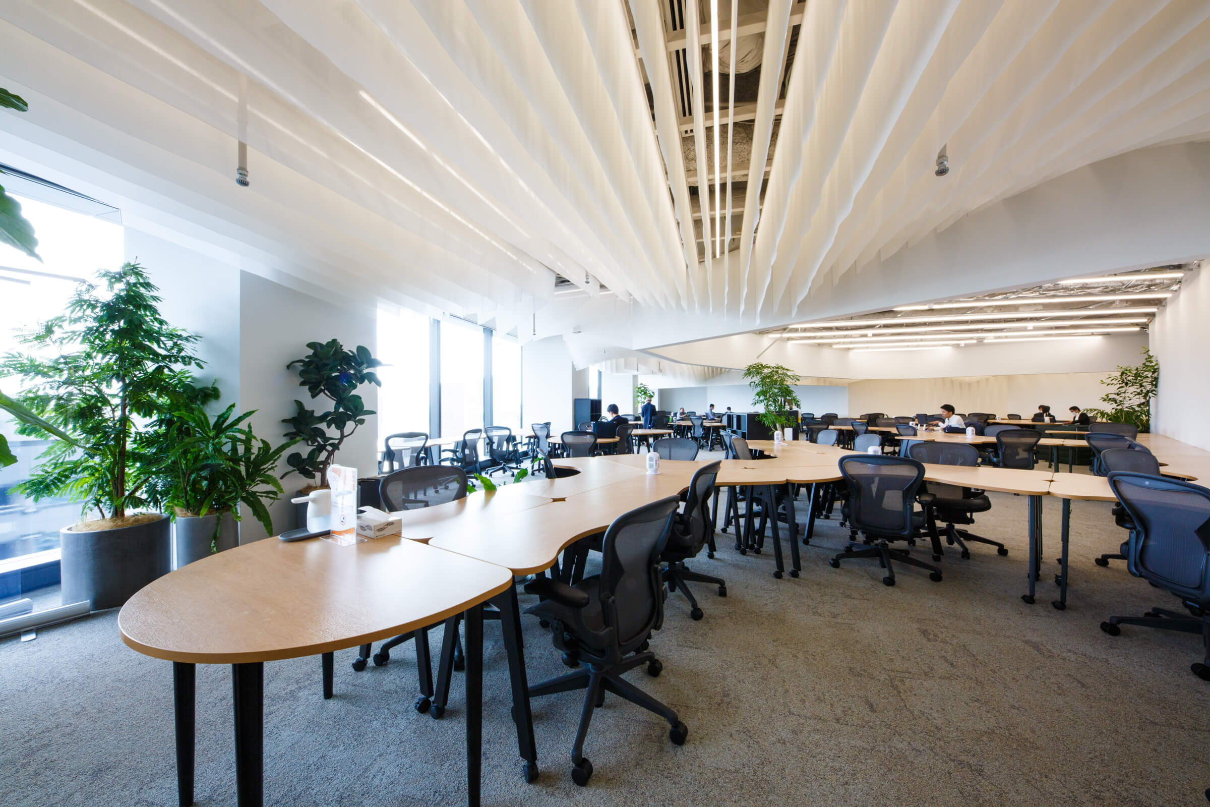 co-working